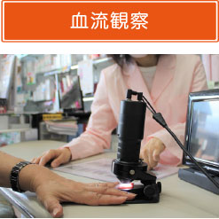 血流観察